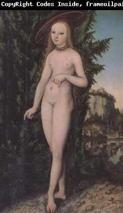 Lucas  Cranach Venus in a Landscape (mk05)